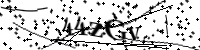 Bitte geben Sie die Buchstaben unten ein.