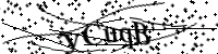 Bitte geben Sie die Buchstaben unten ein.